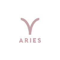 Moon Chocolate Sticker by Lily's Sweets