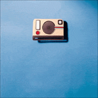 tuicial  GIF