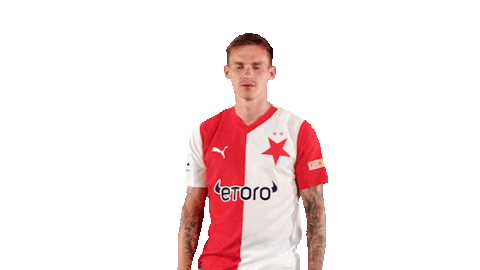 Football Soccer Sticker by SK Slavia Praha