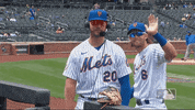 Ny Mets Wave GIF by New York Mets