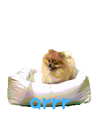 아르르 Sticker by arrr_official