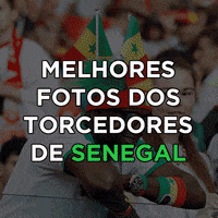 fans russia GIF by Portal R7