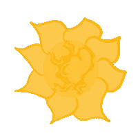 Sun Sunshine Sticker
