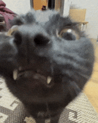 Screaming Big Eyes GIF