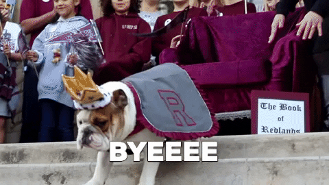 universityofredlands giphygifmaker mascot english bulldog addie GIF