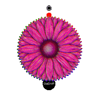 cmdvf art beauty nature flower Sticker