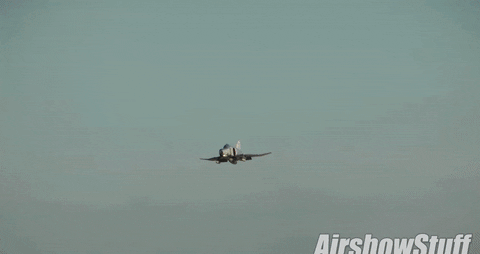 giphygifgrabber GIF