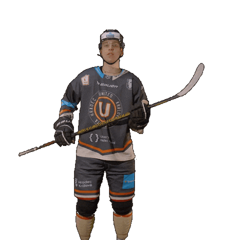 Uhk Sticker by UNIted HK