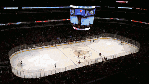 united hockey GIF
