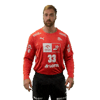 Handball Kiel Sticker by DAIKIN HBL
