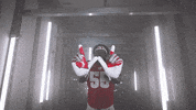 Football GIF by Wisconsin Badgers