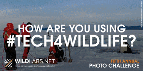 sodo7968 giphygifmaker tech4wildlife GIF