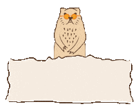 Sonne Groundhog Sticker by Fuzzstock Bergfestival