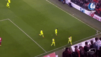 kaagent football celebrate drink beer GIF