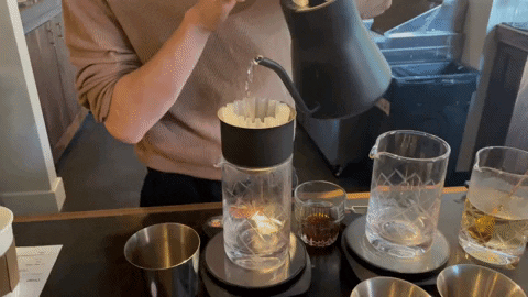 laurahackett1d29 giphyupload GIF