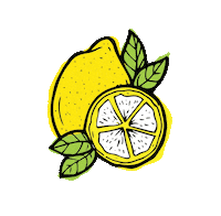 kauaiglobal lemon citrus kauai kauaiglobal Sticker