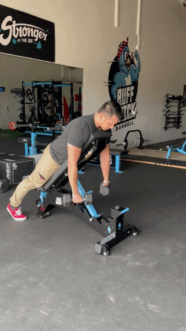 megsquats giphyupload GIF