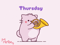 Cat GIF by Pembe