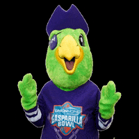 Tampa Florida Bird GIF by Union Home Mortgage Corp