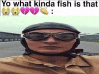 Formula 1 F1 GIF