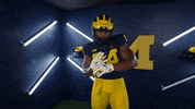 Go Blue College Football GIF by Michigan Athletics