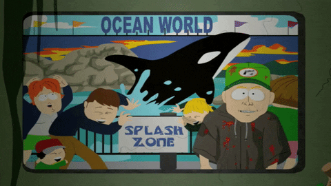 killer whale slide GIF by South Park 