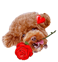 Love You Yes Sticker