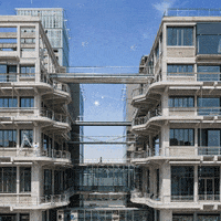 maggeneraux 2020 GIF