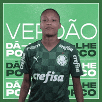 Futebol Feminino GIF by SE Palmeiras