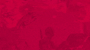 Poster_Freaks star wars brand shop poster GIF