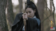 qin shi li ren ming yue xin dilraba GIF