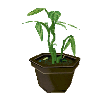 Art Animation Sticker