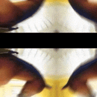 Iconic GIF