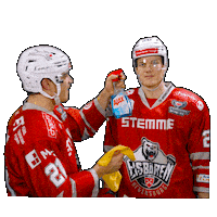 Hockey Del2 Sticker by Eisbären Regensburg