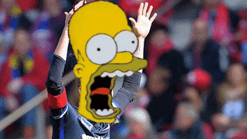 scream sound GIF by Hertha BSC