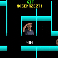 Maze 271 Mose GIF