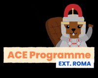 KaseTravel roma kasetravel aceprogramme GIF