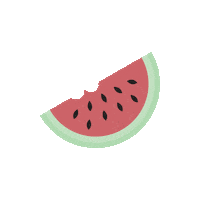 Skincare Watermelon Sticker by blk cosmetics