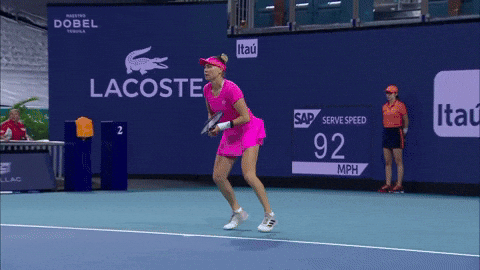 Zvonareva GIF