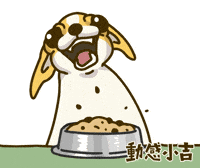 Animation Dog GIF