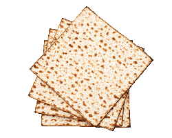 Jewish History Sticker by Alma