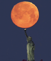 Statue Of Liberty Coffee Lovers GIF by Berk's Beans Coffee