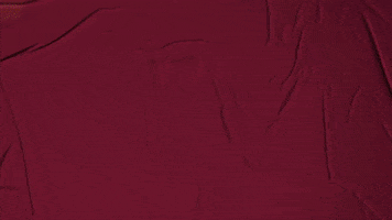 College Baseball GIF by Pearl River Athletics