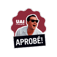 Finales Aprobe Sticker by UAI