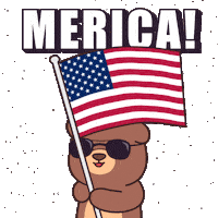 American Usa Sticker by BEARISH