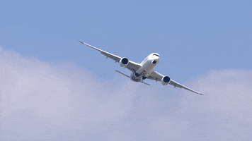 Airplane Aircraft GIF by Safran