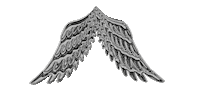 Angel Wings Chrome Sticker