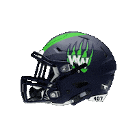 Whs Sticker by WHSPTSO