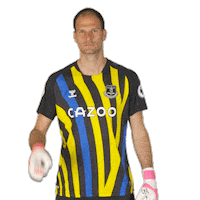 No Entry Evertonfc Sticker by Everton Football Club