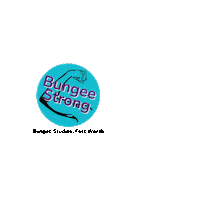 Bungeestudios bungee bungee fitness bungeefitness bungeeworkout Sticker